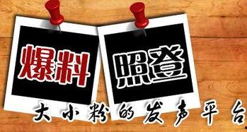 新闻爆料平台巴中,揭秘背后真相与热点事件